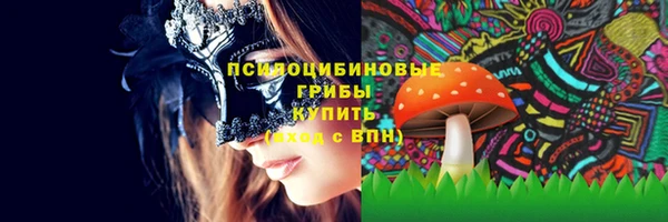 ALPHA PVP Киреевск