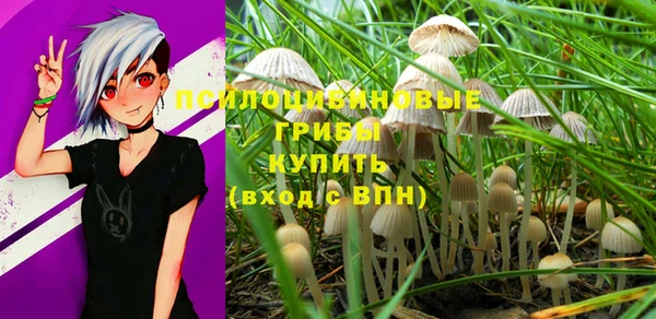 mix Касимов