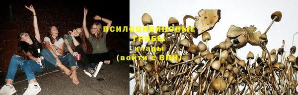 ALPHA PVP Киреевск